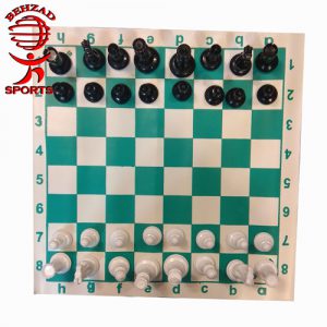 شطرنج حرفه ای سهند